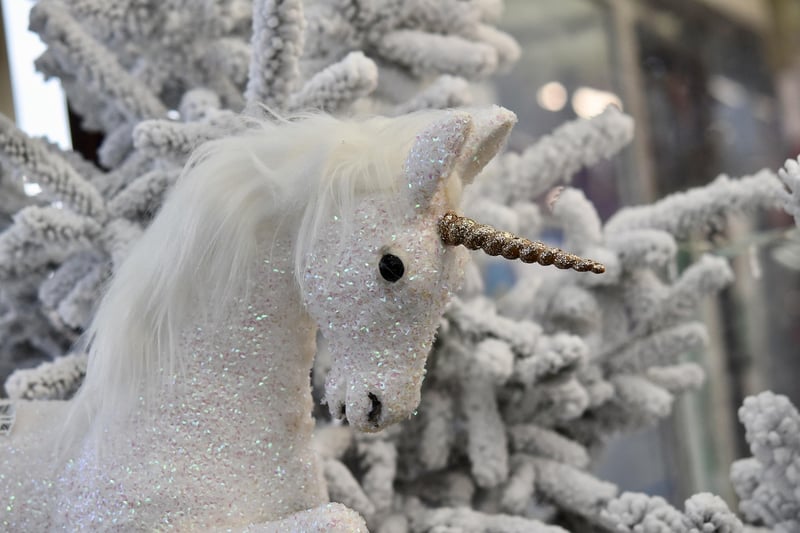 Unicorn Ride